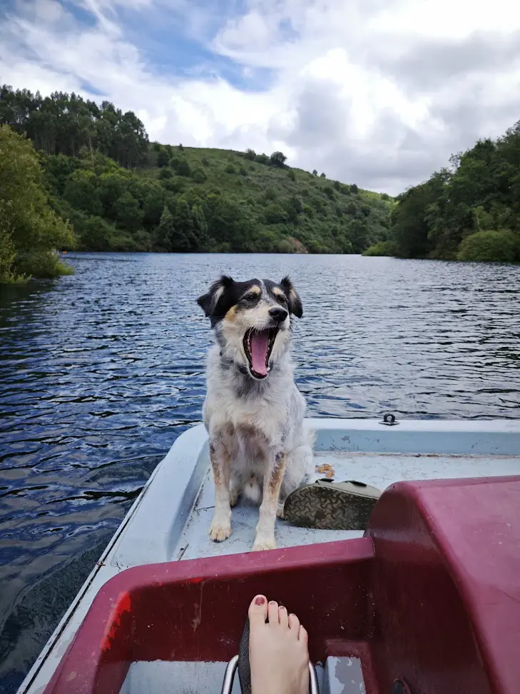 Comunidad en Anceu Coliving